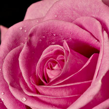 Схема вышивки «Цветок»