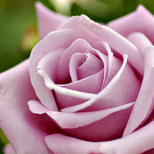 Схема вышивки «Цветок»