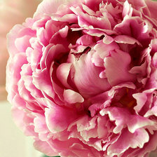 Схема вышивки «Цветок»