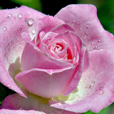 Схема вышивки «Цветок»