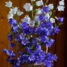 Схема вышивки «колокольчики»