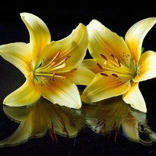 Схема вышивки «лилии»