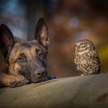 Схема вышивки «дружба»