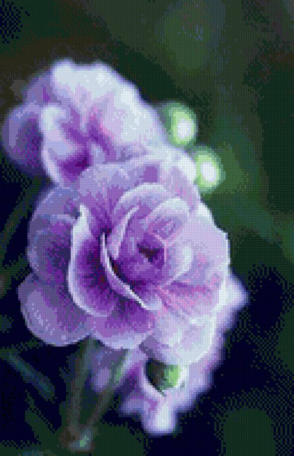 цветы - цветы - предпросмотр