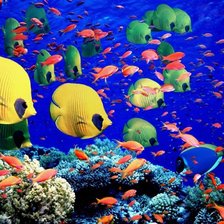 Схема вышивки «№858896»