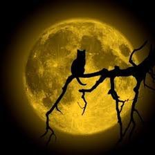 Схема вышивки «Кот на фоне луны»