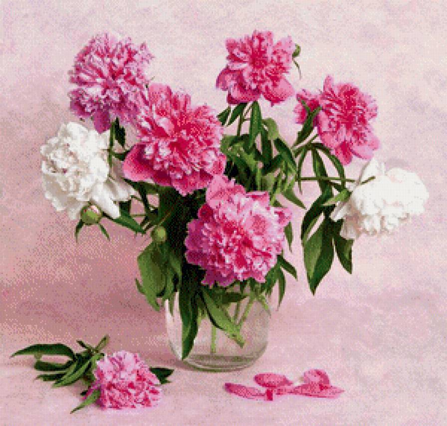 пионы - пионы, букет, цветы - предпросмотр