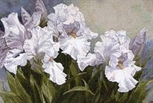 Схема вышивки «ирисы»