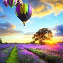 Схема вышивки «Воздушные шары над лавандовым полем»