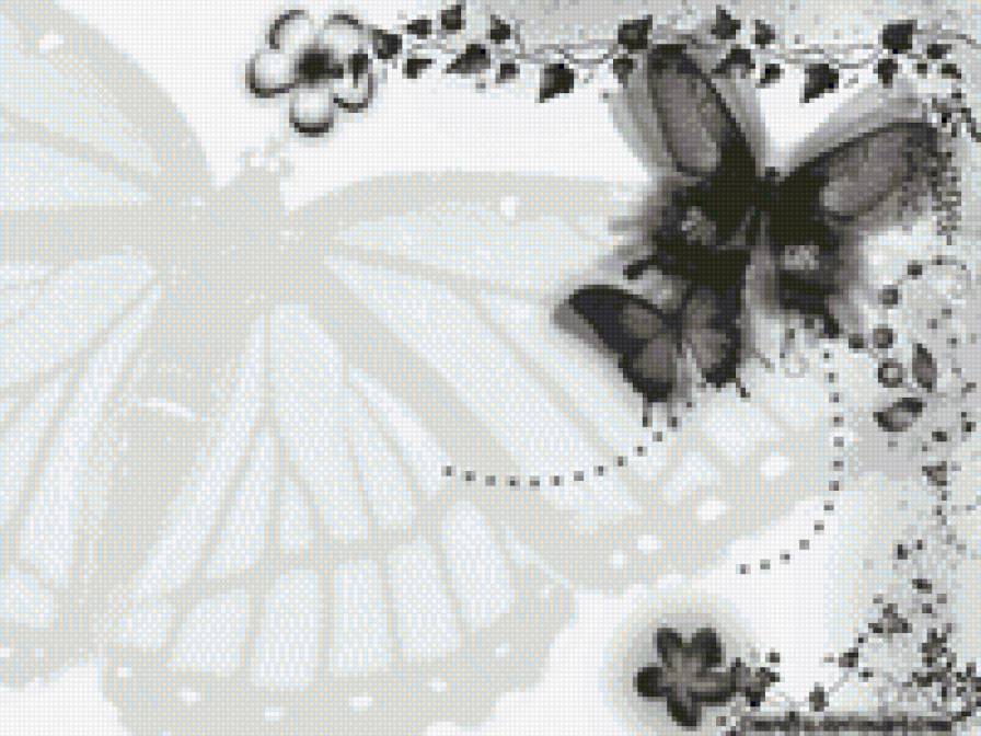 50 оттенков - бабочки - предпросмотр