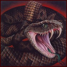 Схема вышивки «гремучая змея»