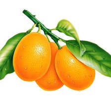 Схема вышивки «Апельсинчики»