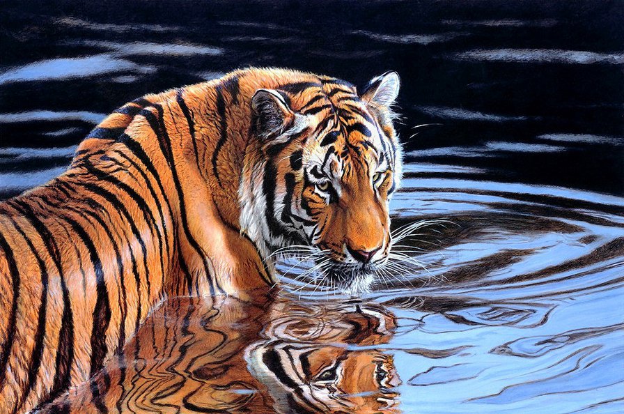 №859432 - оригинал