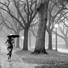 Схема вышивки «№859528»