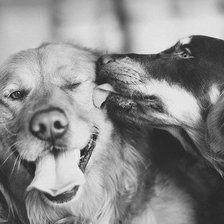 Схема вышивки «Дружба»