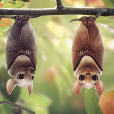 Схема вышивки «Мышки»