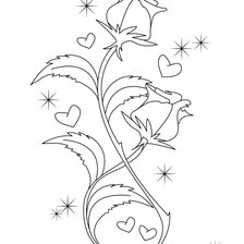 Схема вышивки «розы»