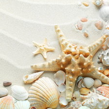 Схема вышивки «Дары моря»