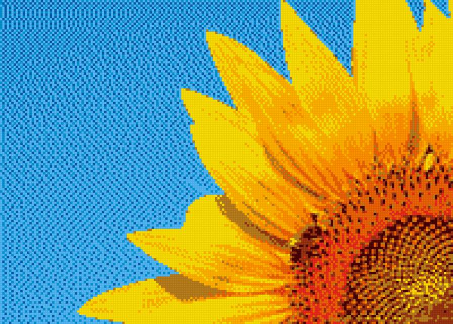 Подсолнух - лето, поле, небо, подсолнух, солнце - предпросмотр