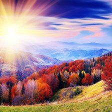 Схема вышивки «Закат в лесу»