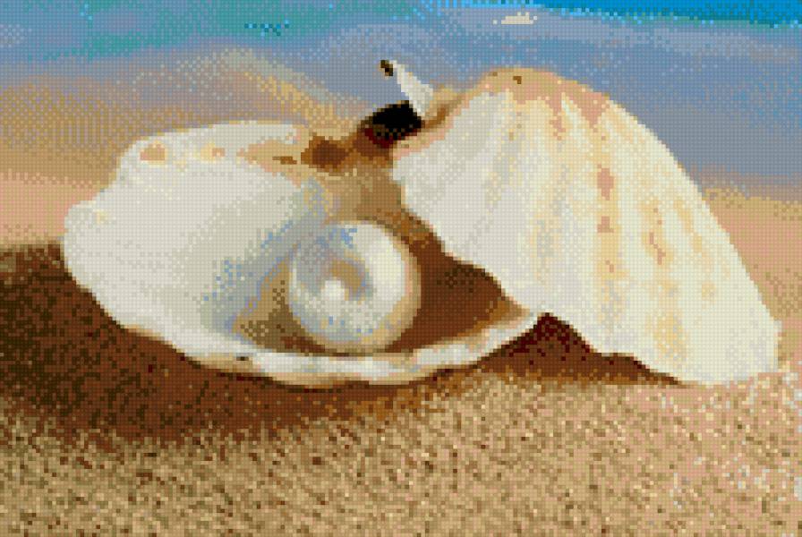 Жемчужина - море, жемчужина, ракушка, пляж, песок - предпросмотр