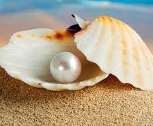 Схема вышивки «Жемчужина»