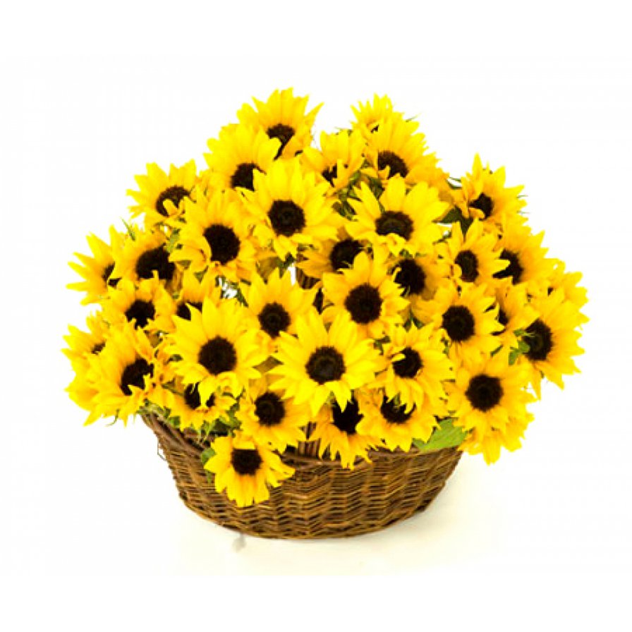 Корзина подсолнухов - букет, подсолнухи, природа, корзина, цветы - оригинал
