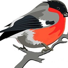 Схема вышивки «Снегирь на ветке»