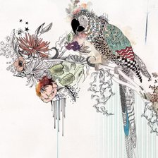 Схема вышивки «Попугай»