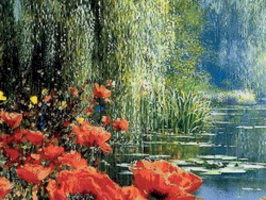 маки ч.1 (ДМС) - предпросмотр