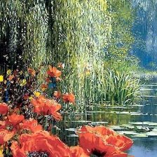 маки ч.1 (ДМС)