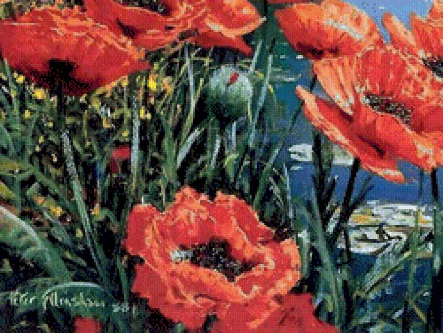 маки ч.3 (ДМС) - предпросмотр