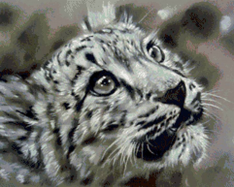 Тигренок монохром - животные, тигр, тигренок - предпросмотр