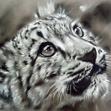 Схема вышивки «Тигренок монохром»