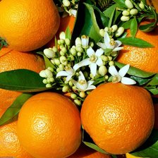 Схема вышивки «Апельсин»