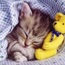 Схема вышивки «киска»