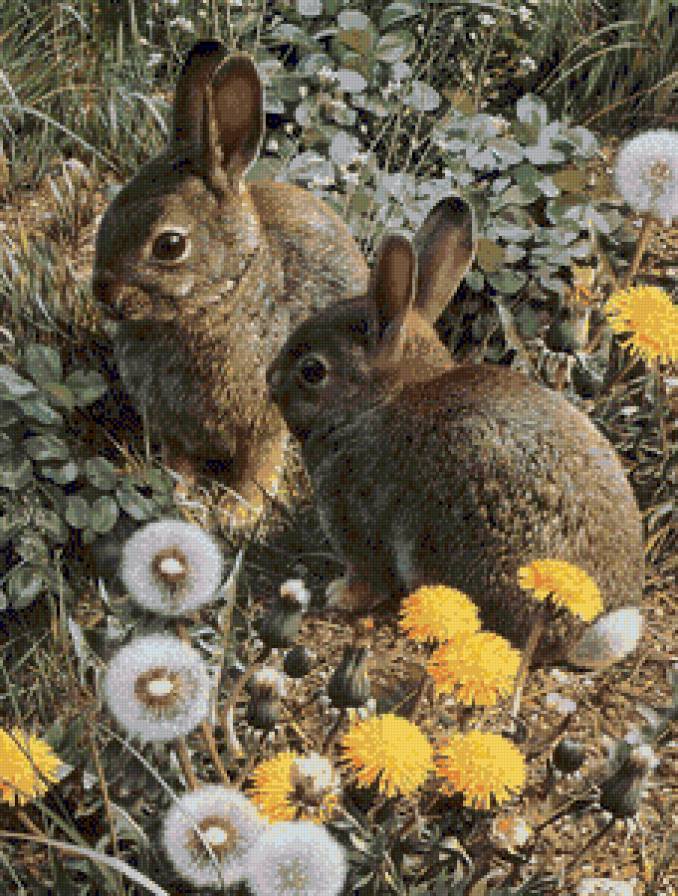 зайчата - предпросмотр