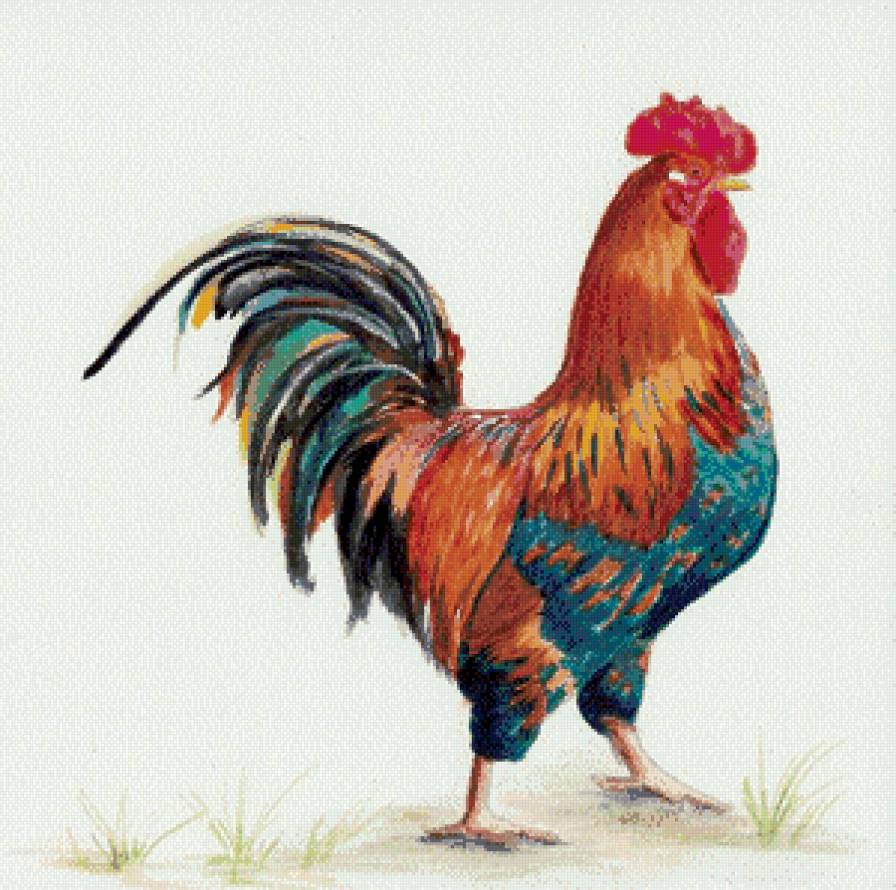 серия "птицы" - птица.петух - предпросмотр