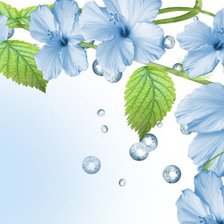 Схема вышивки «цветы»