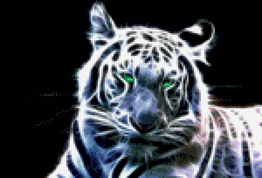 тигр - животные - предпросмотр