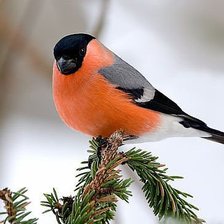 Схема вышивки «№861340»