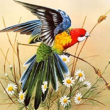 Схема вышивки «птичка»