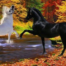 Схема вышивки «tancuiushi  loshadi»