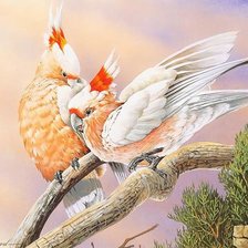 Схема вышивки «птички»