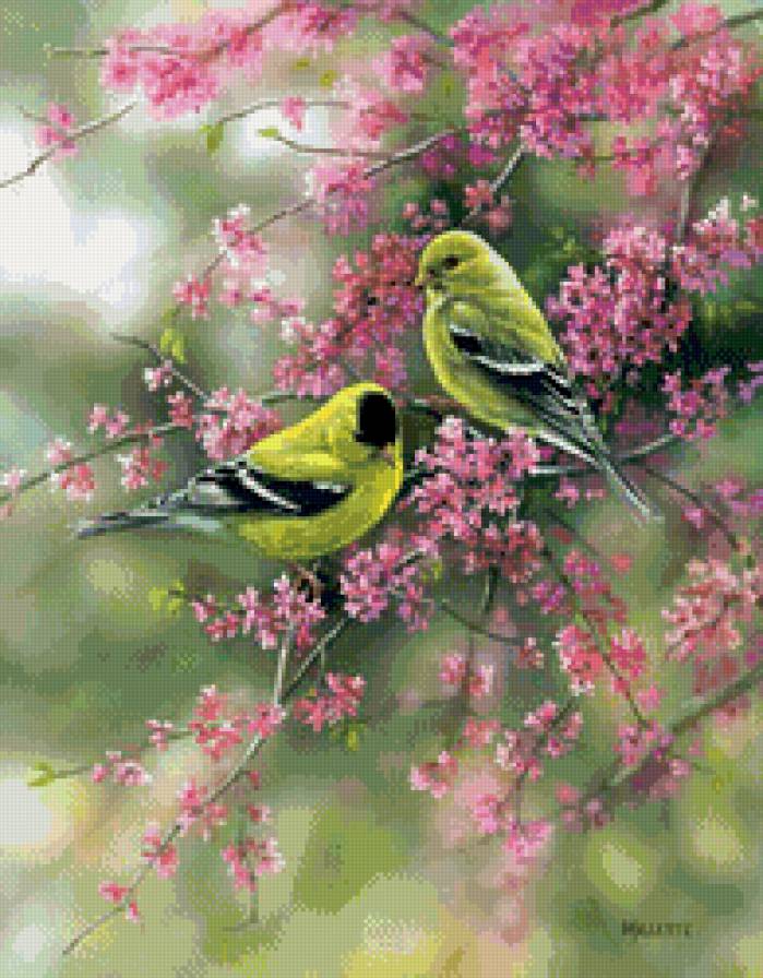 птички на ветке - птицы - предпросмотр