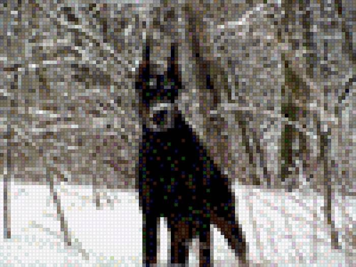 Лабрадор - предпросмотр