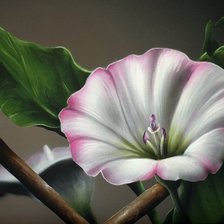 Схема вышивки «№861437»