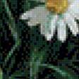 Предпросмотр схемы вышивки «ромашки» (№861506)