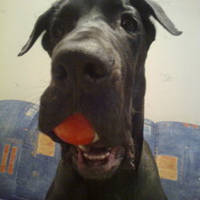 Схема вышивки «Дан»