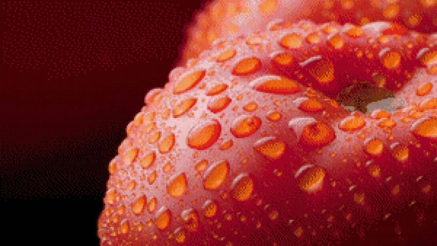 Помидор - овощи, вода, фрукты - предпросмотр